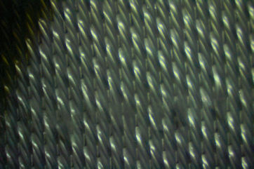 Microscope photo of 12 harness satin weave fiberglass cloth style 13788